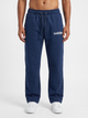 BLUE CLASSIC REGULAR BOTTOM PANTS